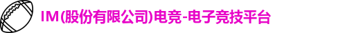 IM电竞